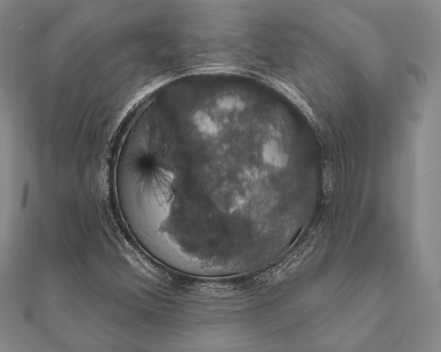 X0000111911356200908101152