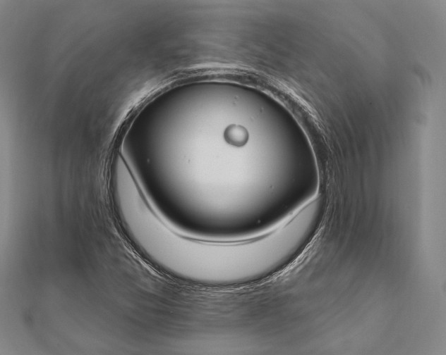 X0000111911357200908101152