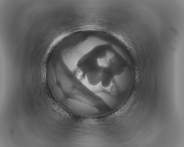 X0000111911358200908101152