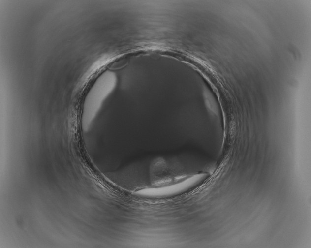 X0000111911359200908101152