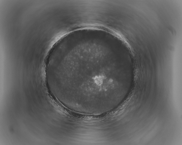 X0000111911360200908101152