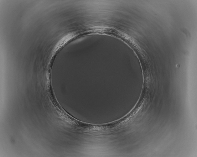 X0000111911362200908101152