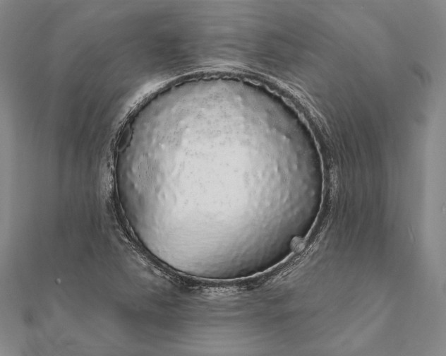 X0000111911363200908101152