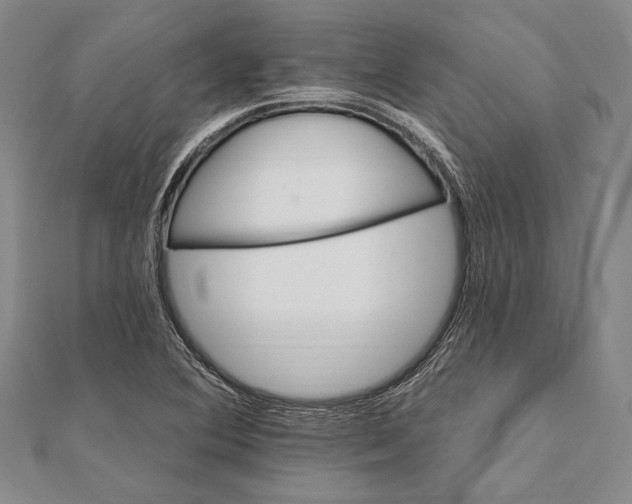 X0000111911364200908101152