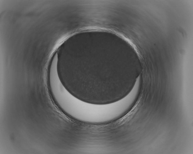 X0000111911365200908101152