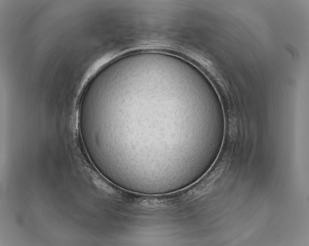 X0000111911366200908101152