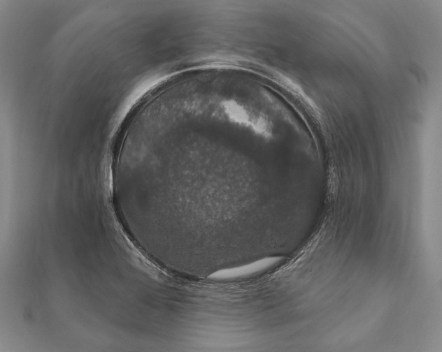 X0000111911368200908101152