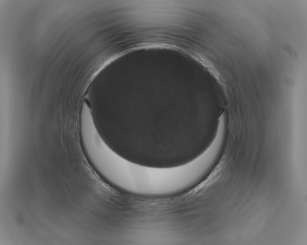 X0000111911369200908101151