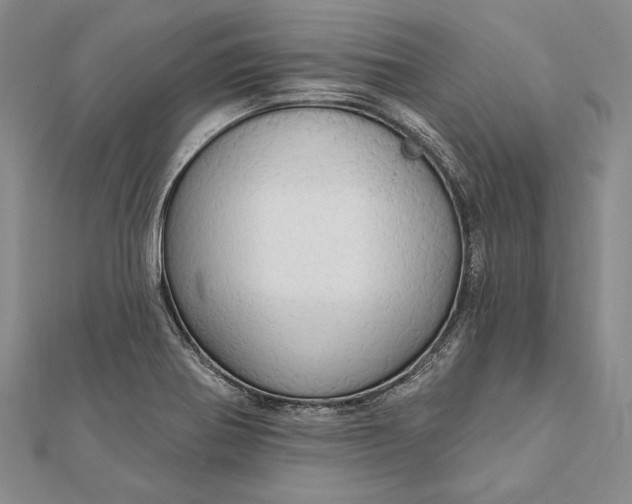 X0000111911370200908101151