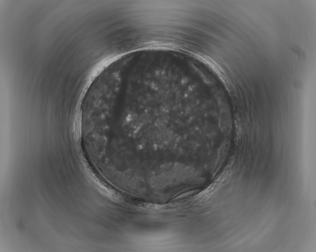 X0000111911371200908101151