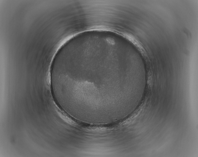 X0000111911372200908101151