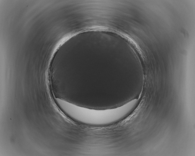 X0000111911373200908101151