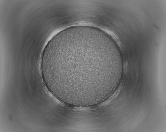 X0000111911374200908101151