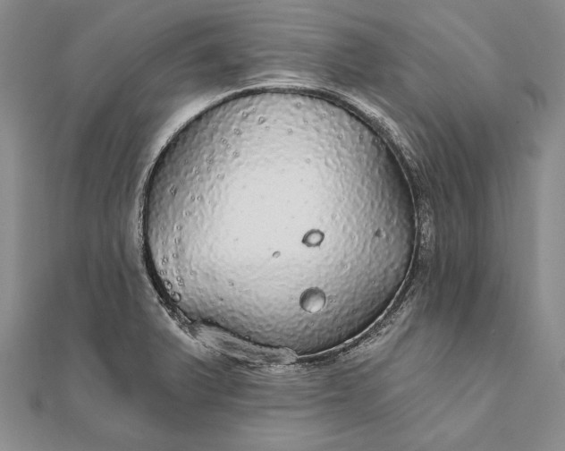 X0000111911375200908101151