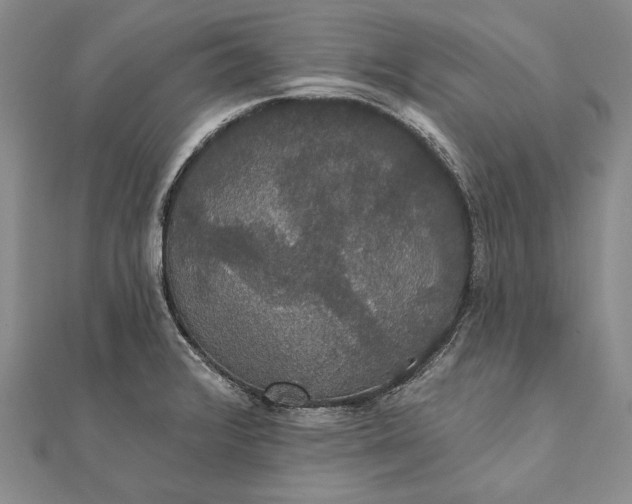 X0000111911376200908101151