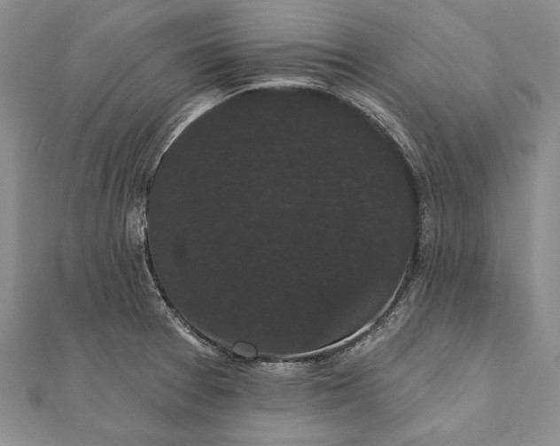 X0000111911377200908101151