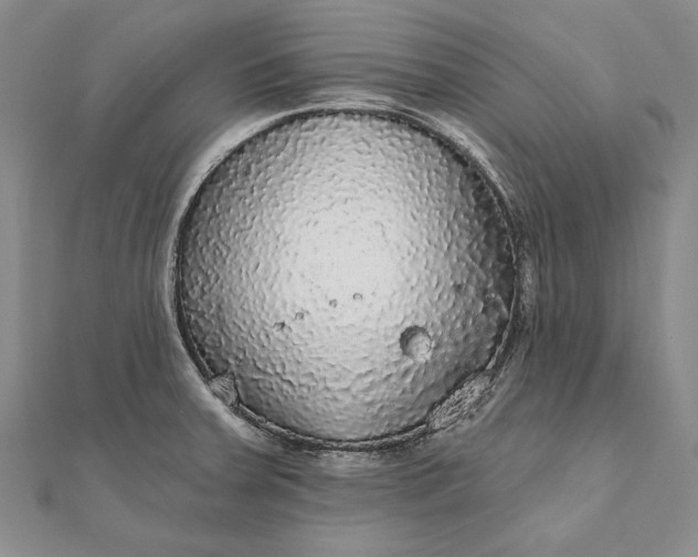 X0000111911379200908101151