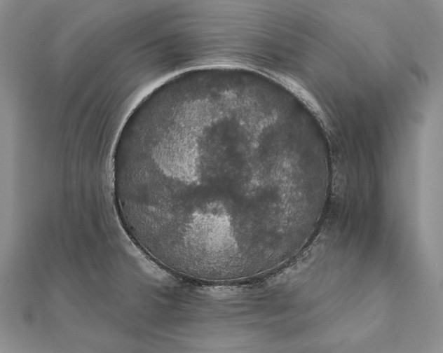 X0000111911380200908101151