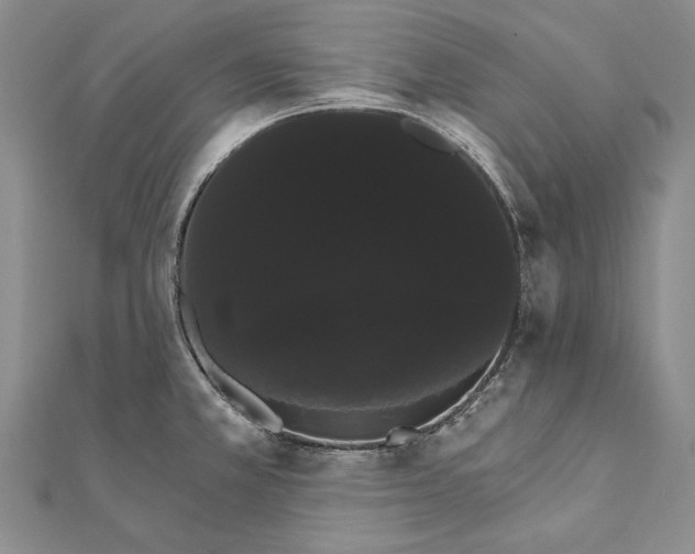 X0000111911381200908101151