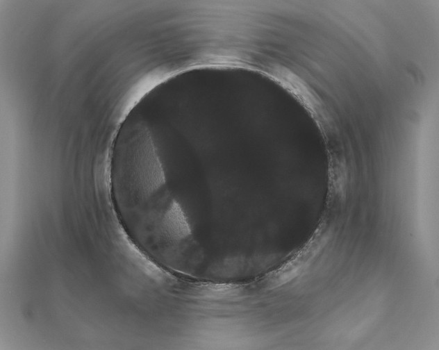 X0000111911382200908101151