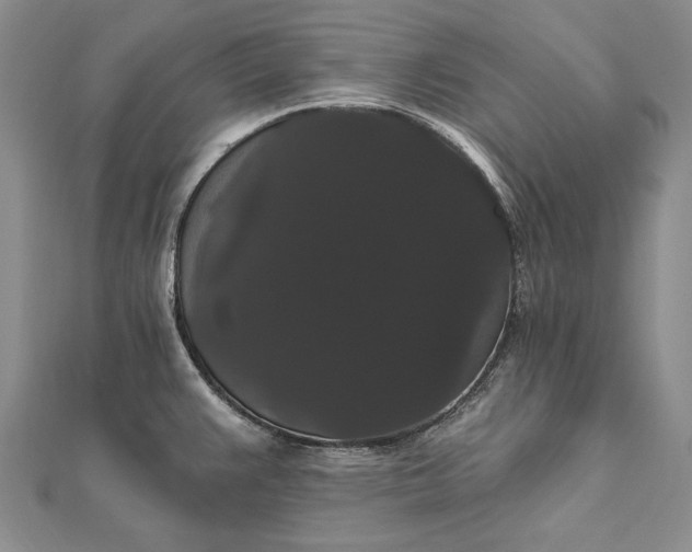 X0000111911383200908101151