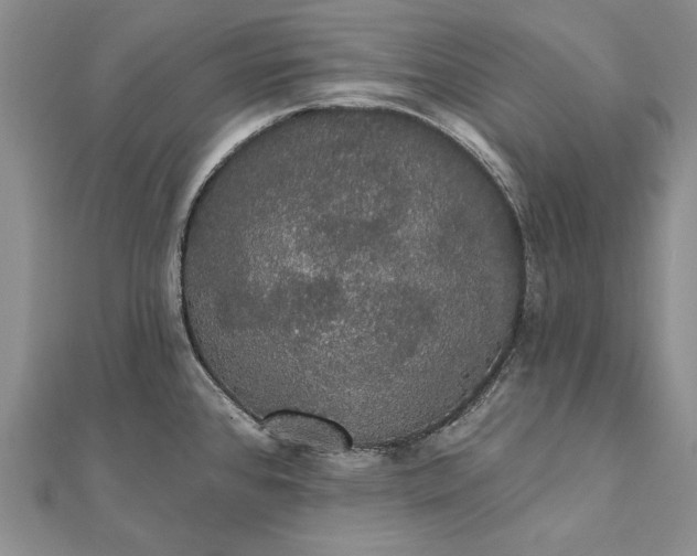 X0000111911384200908101151