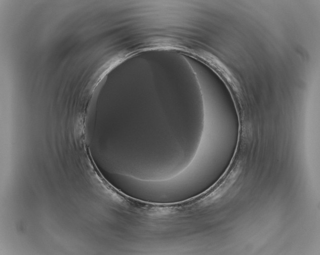 X0000111911385200908101151