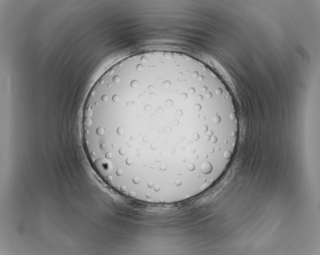 X0000111911386200908101151