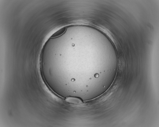 X0000111911387200908101151