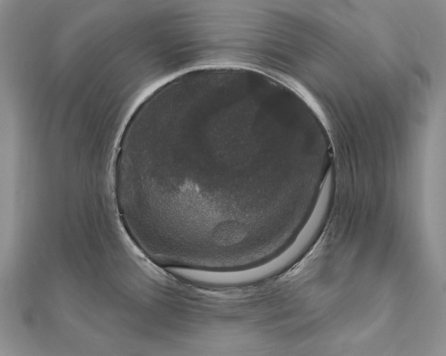 X0000111911388200908101151