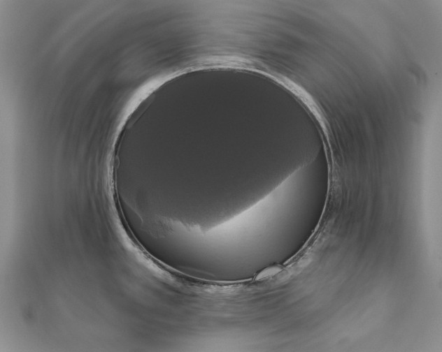 X0000111911389200908101151