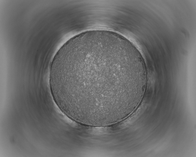 X0000111911390200908101151