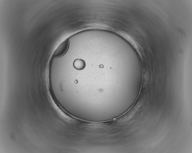 X0000111911391200908101151