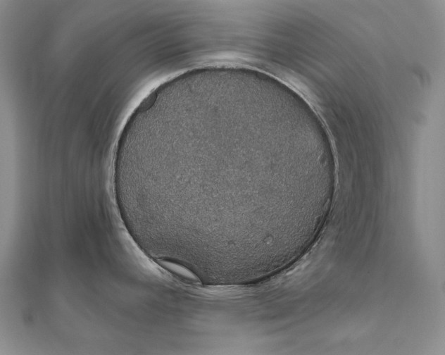 X0000111911392200908101151