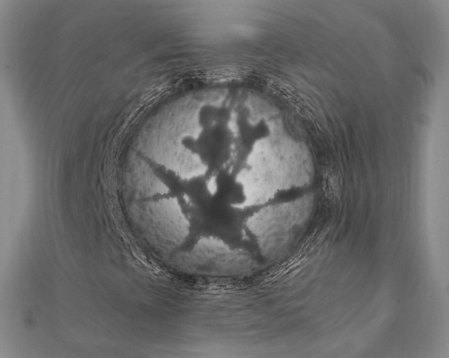 X0000111911393200908101151