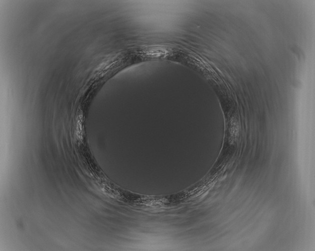 X0000111911394200908101151