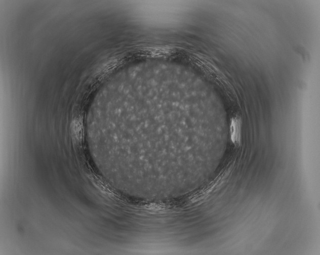 X0000111911395200908101151