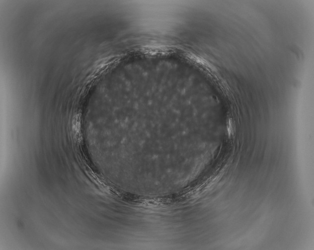 X0000111911396200908101151