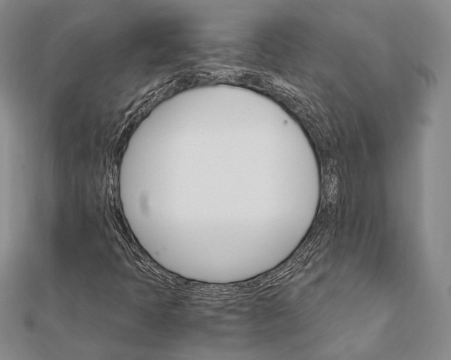 X0000111911397200908101151