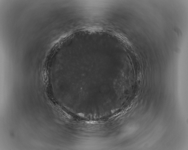 X0000111911398200908101151