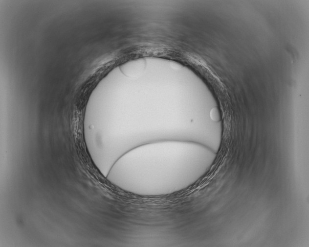 X0000111911399200908101151