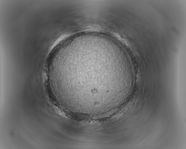 X0000111911400200908101151