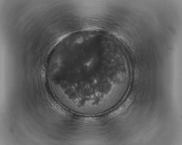 X0000111911401200908101151