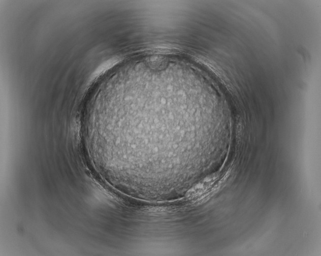 X0000111911402200908101151