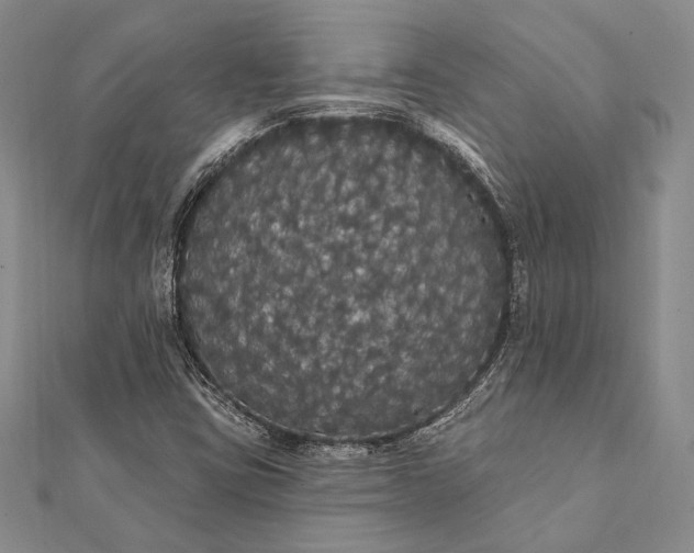 X0000111911403200908101151