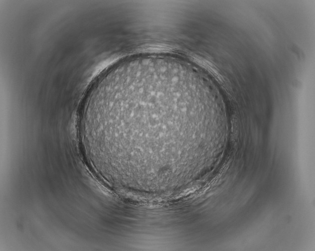 X0000111911404200908101151