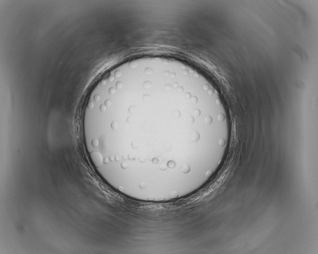 X0000111911405200908101151