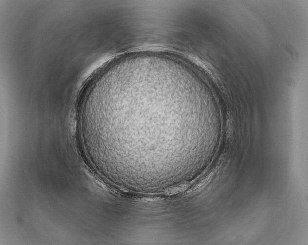 X0000111911406200908101151