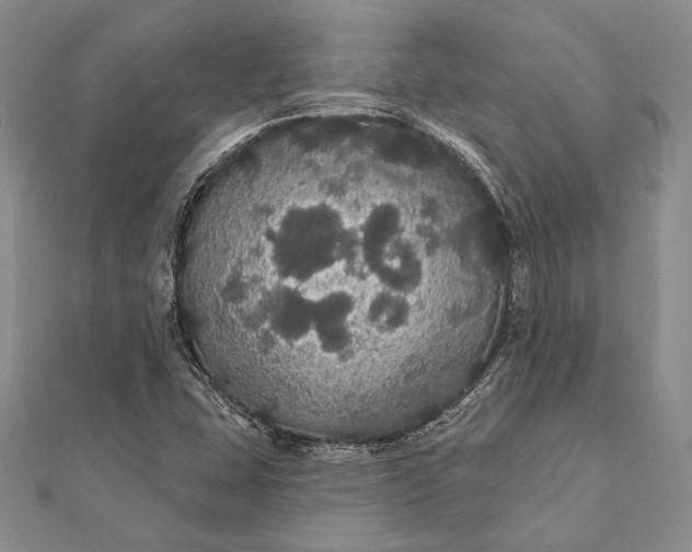 X0000111911407200908101151