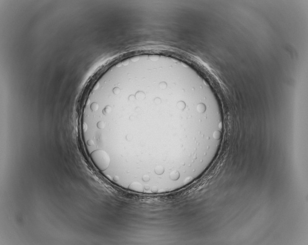 X0000111911408200908101151